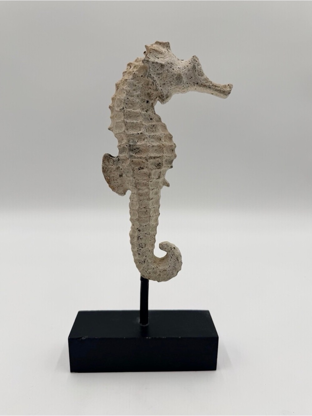 Neutral Seahorse Sculpture 10.5” Table Accent With Black Wood Base